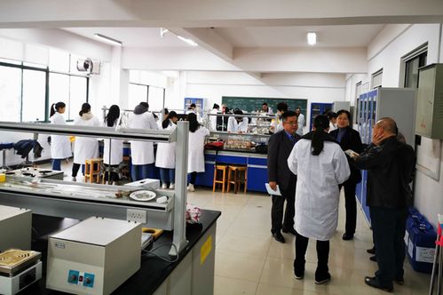 我院食品科學與工程本科專業(yè)接受校內專業(yè)評估